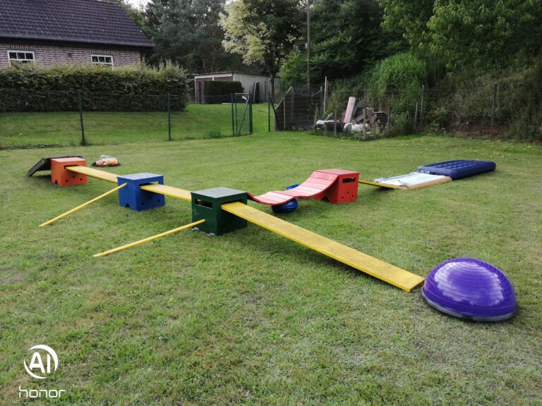 IMG 20200718 144650 768x576