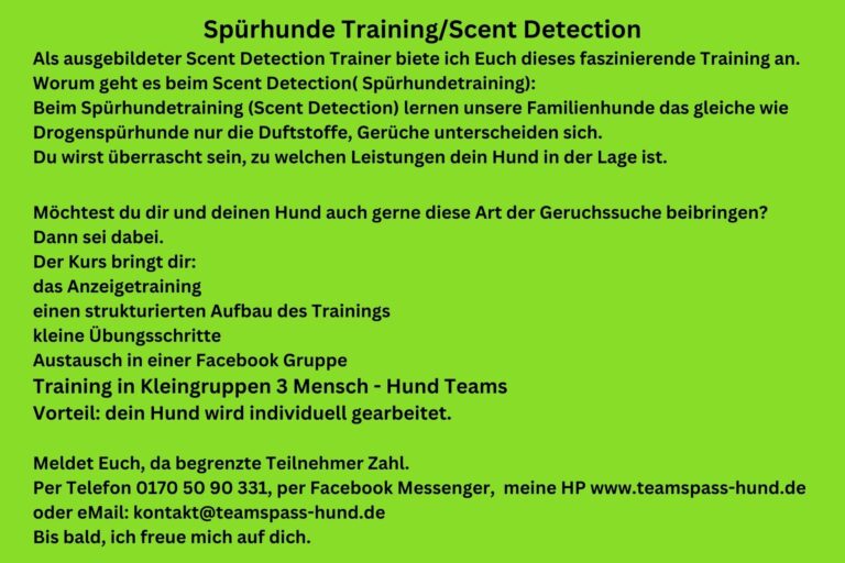 Spuerhunde 2 1 768x512